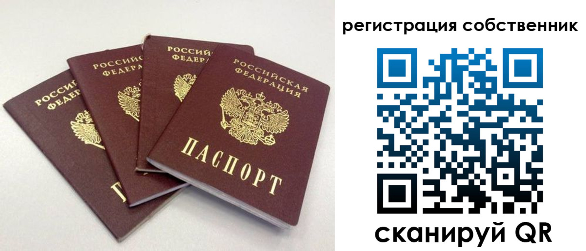 прописка для школы в Новомосковске